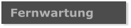 Fernwartung