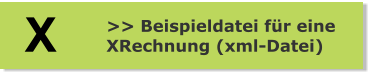 >> Beispieldatei für eine  XRechnung (xml-Datei) X