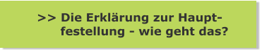 >> Die Erklärung zur Haupt-       festellung - wie geht das?